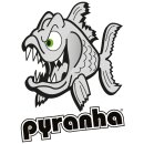 Pyranha Mouldings ltd.