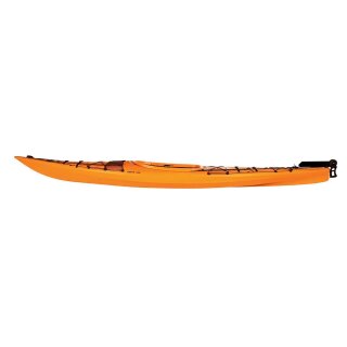 Delsky Nifty 430