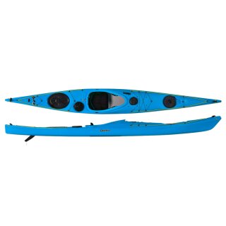 Delphin