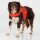 NRS CFD Dog Life Jacket