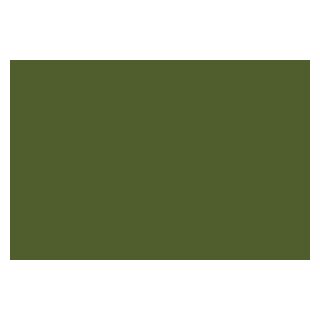 Olive LR-18827